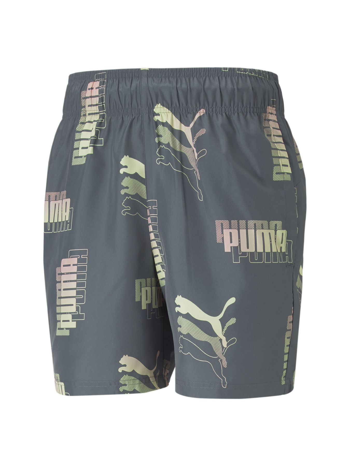 Шорты спортивные PUMA модель 671669 Фото