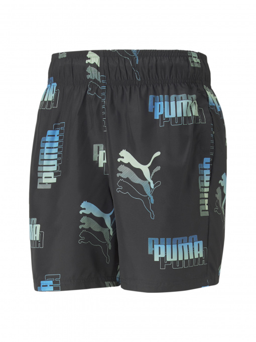 Шорты спортивные PUMA модель 671669 Фото