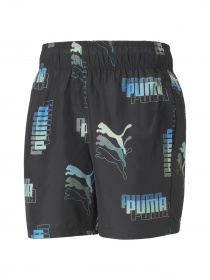 Шорты спортивные PUMA модель 671669 Шорты спортивные PUMA модель 671669 Фото