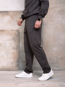 Штаны спортивные ISSA Plus модель GN-407_darkgray Фото