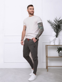 Штаны спортивные ISSA Plus модель SA-127_darkgray Фото