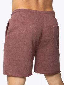 Шорти AVECS модель 30343-52 Фото