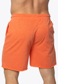 Шорти AVECS модель 30343-22 Фото