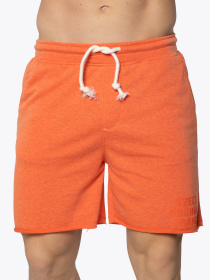 Шорти AVECS модель 30343-22 Фото