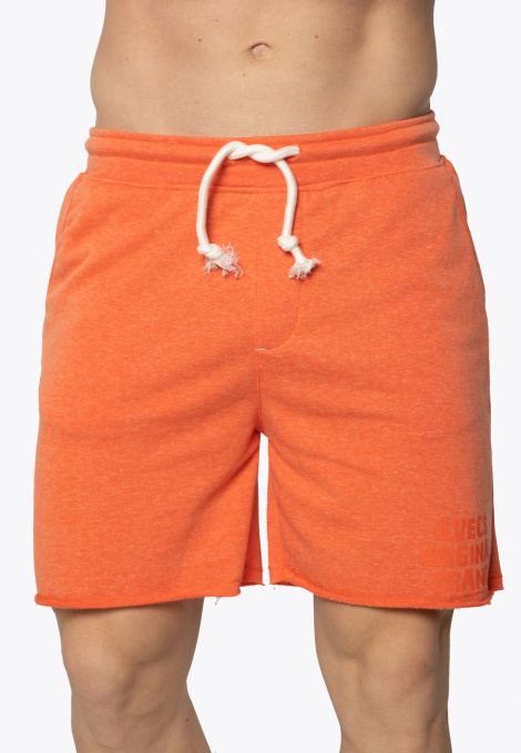 Шорти AVECS модель 30343-22 Фото