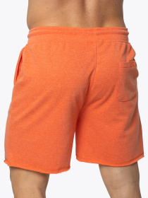 Шорти AVECS модель 30343-22 Фото