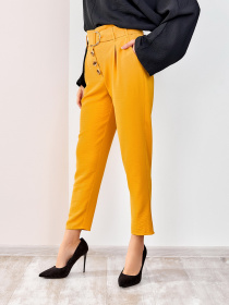 Штани повсякденні ISSA Plus модель SA-178_mustard Фото
