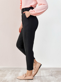 Повсякденні штани ISSA Plus модель SA-178_black Фото