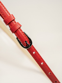 Ремни ISSA Plus модель R1-38_red Фото