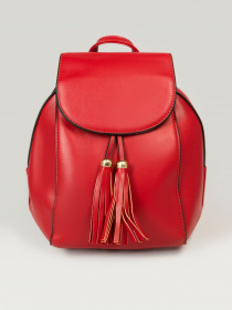 Рюкзаки ISSA Plus модель SU3-163_red Фото