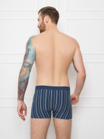 Трусы ISSA Plus модель GN5-162_blue. Трусы ISSA Plus модель GN5-162_blue. Фото