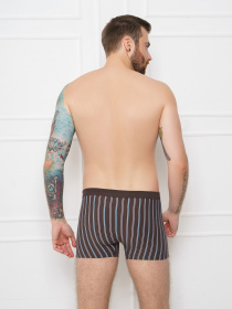 Трусы ISSA Plus модель GN5-162_darkgray. Трусы ISSA Plus модель GN5-162_darkgray. Фото