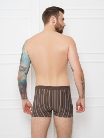 Трусы ISSA Plus модель GN5-162_khaki. Фото