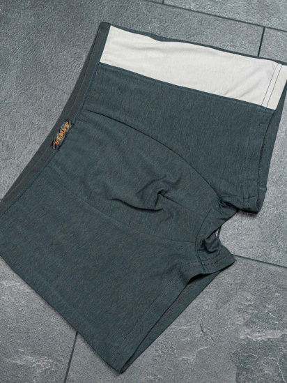 Труси ISSA Plus модель GN5-164_darkgray. - фото