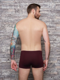 Трусы ISSA Plus модель GN5-90_brown. Трусы ISSA Plus модель GN5-90_brown. Фото