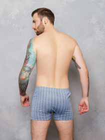 Трусы ISSA Plus модель GN5-97_grey. Трусы ISSA Plus модель GN5-97_grey. Фото