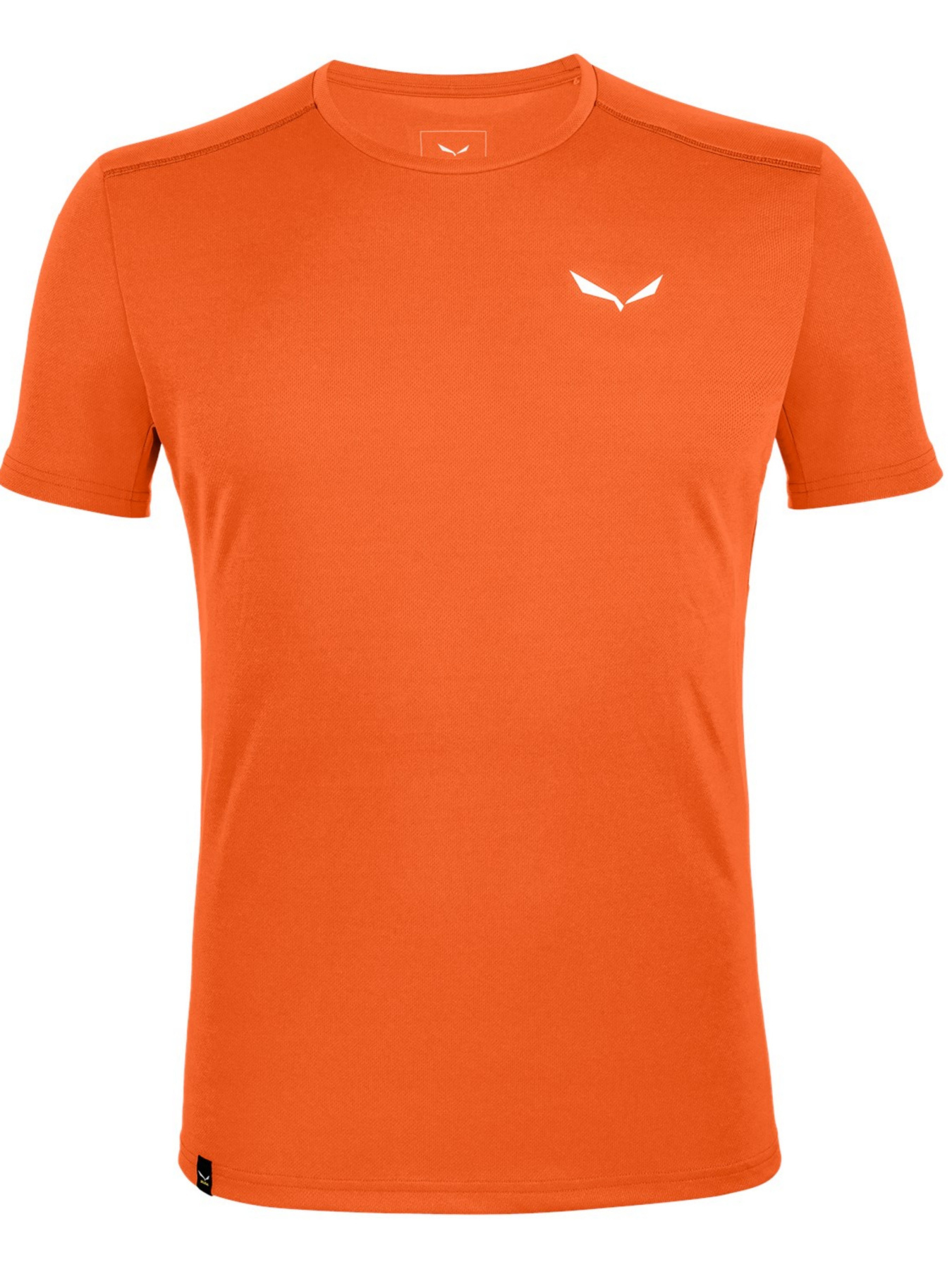 Футболка Salewa модель 4f9fe9ef-13c6-11ed-810e-001dd8b72568 Футболка Salewa модель 4f9fe9ef-13c6-11ed-810e-001dd8b72568 Фото