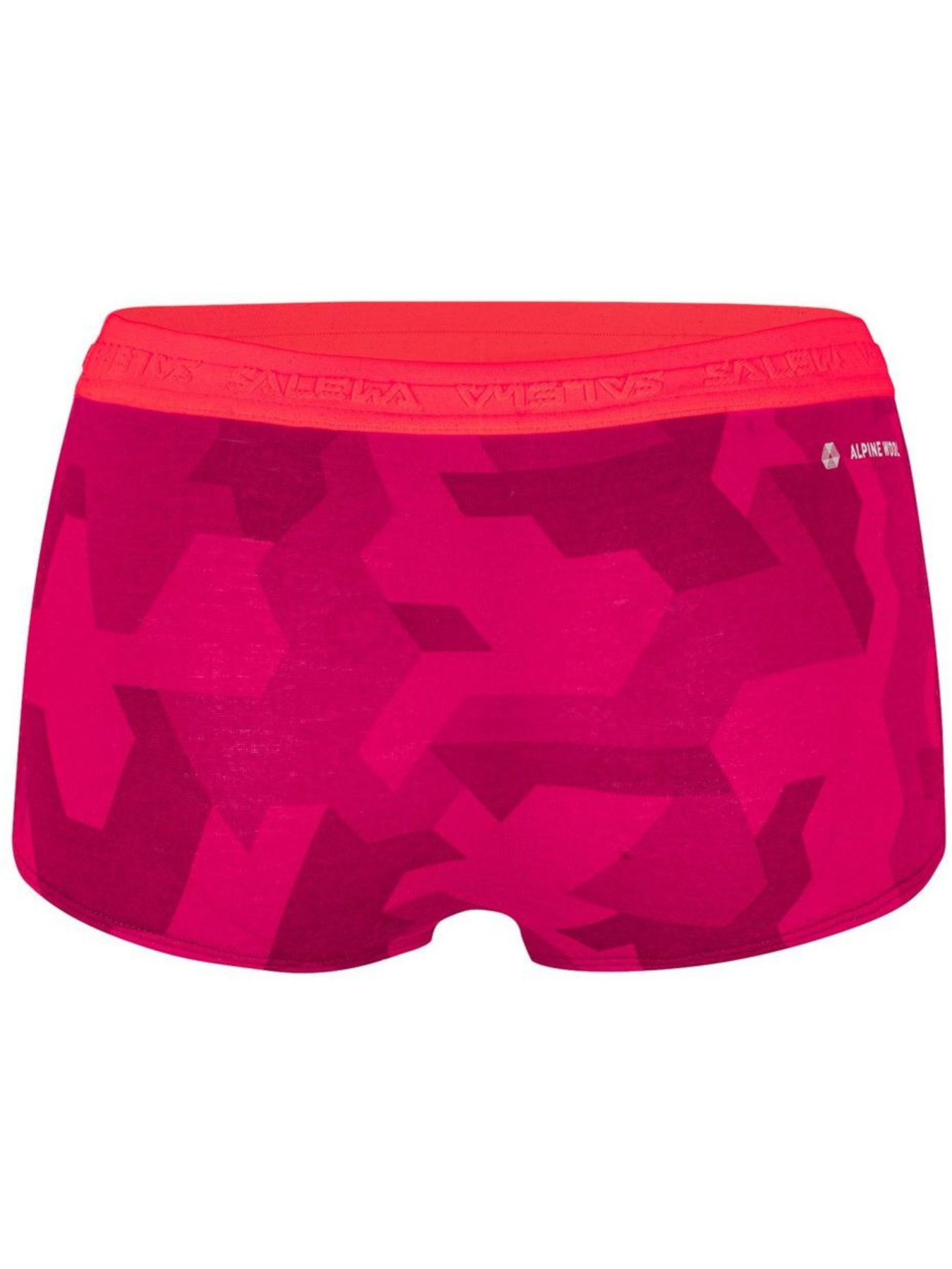 Трусы Salewa модель e8b63544-13c6-11ed-810e-001dd8b72568 Фото