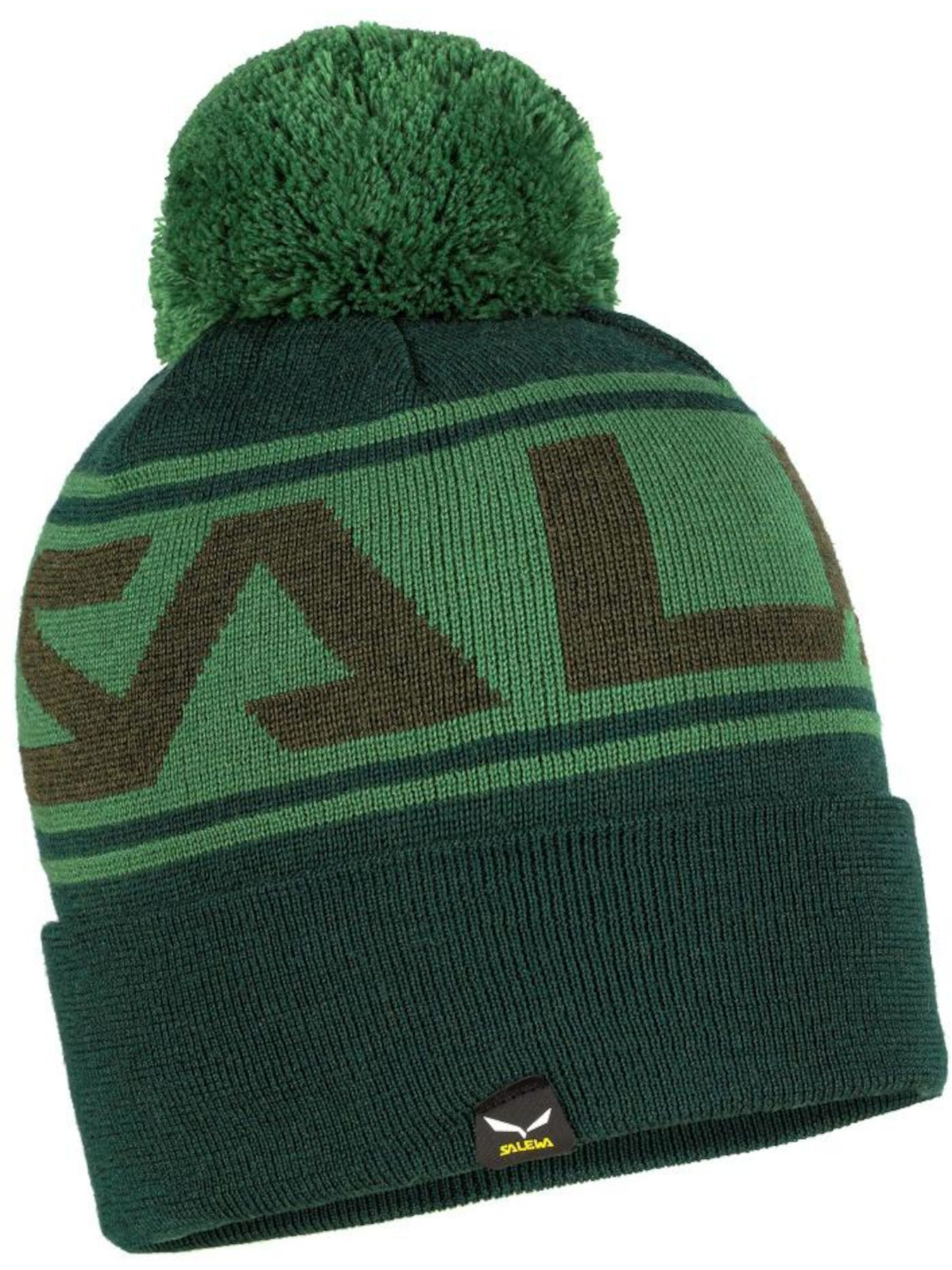 Шапка Salewa модель 75d28a2c-13cc-11ed-810e-001dd8b72568 Шапка Salewa модель 75d28a2c-13cc-11ed-810e-001dd8b72568 Фото