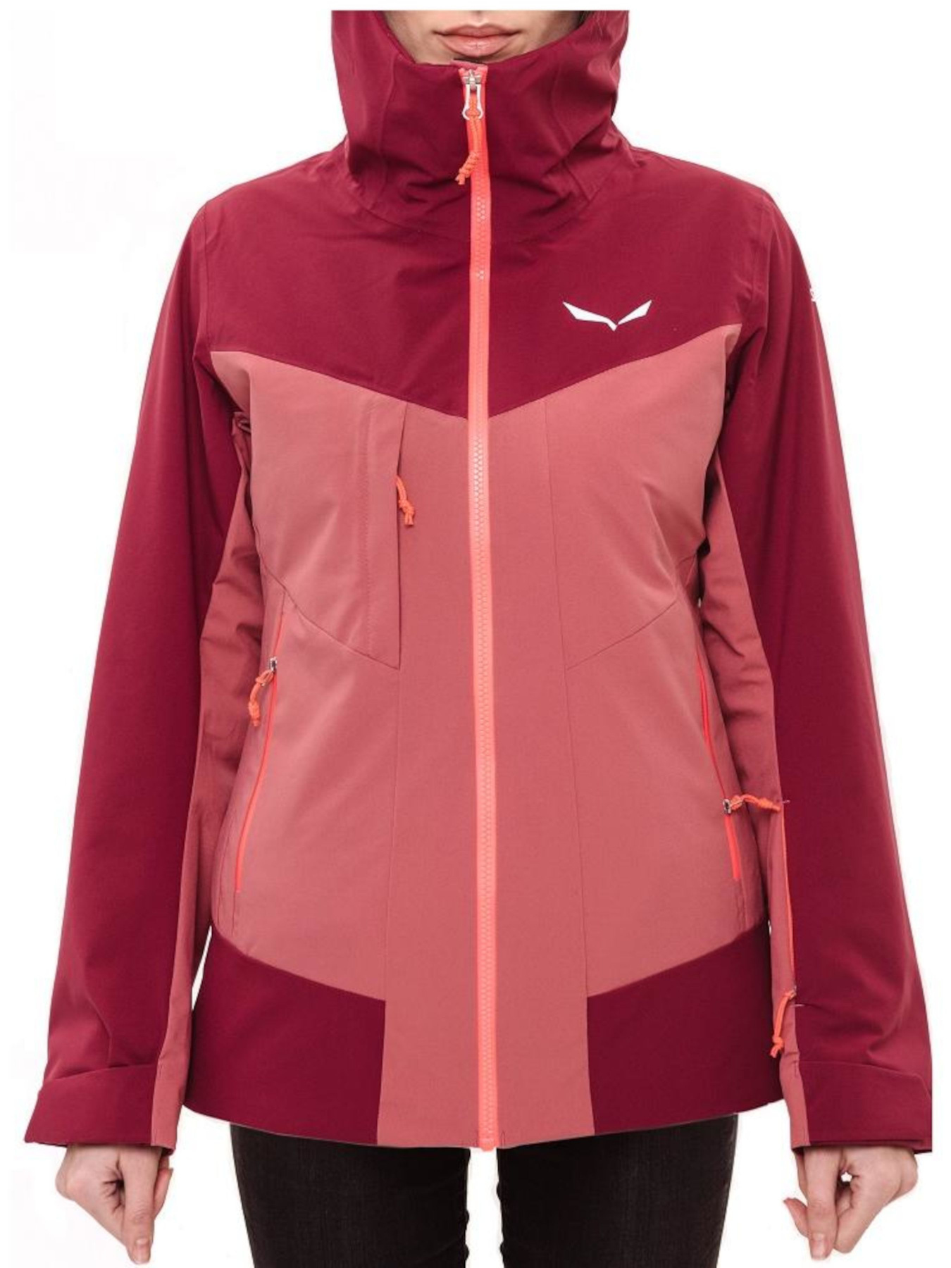 Горнолыжная куртка Salewa модель 8d009851-1403-11ed-810e-001dd8b72568 Фото