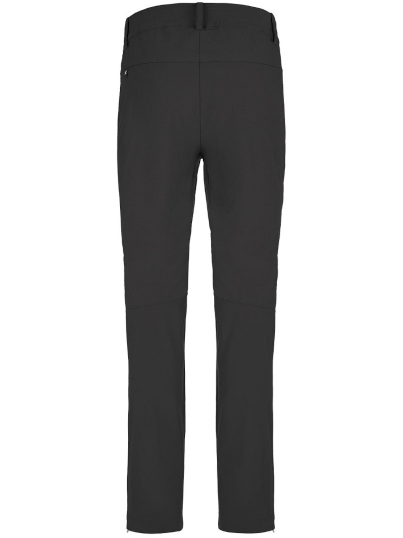 Штаны спортивные Salewa модель 78e279e4-1408-11ed-810e-001dd8b72568 Фото