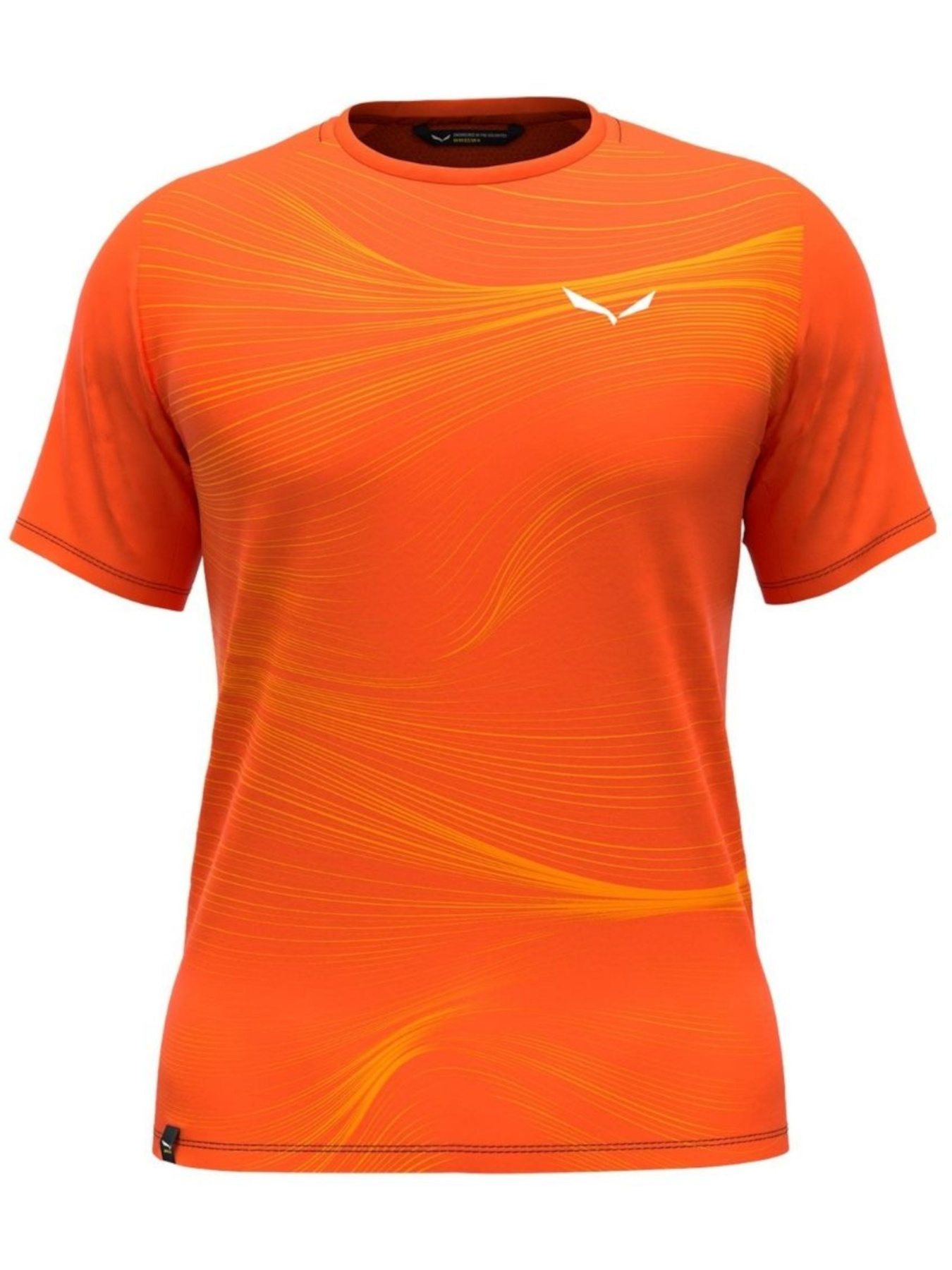 Футболки и поло Salewa модель 48ea776b-1410-11ed-810e-001dd8b72568 Футболки и поло Salewa модель 48ea776b-1410-11ed-810e-001dd8b72568 Фото