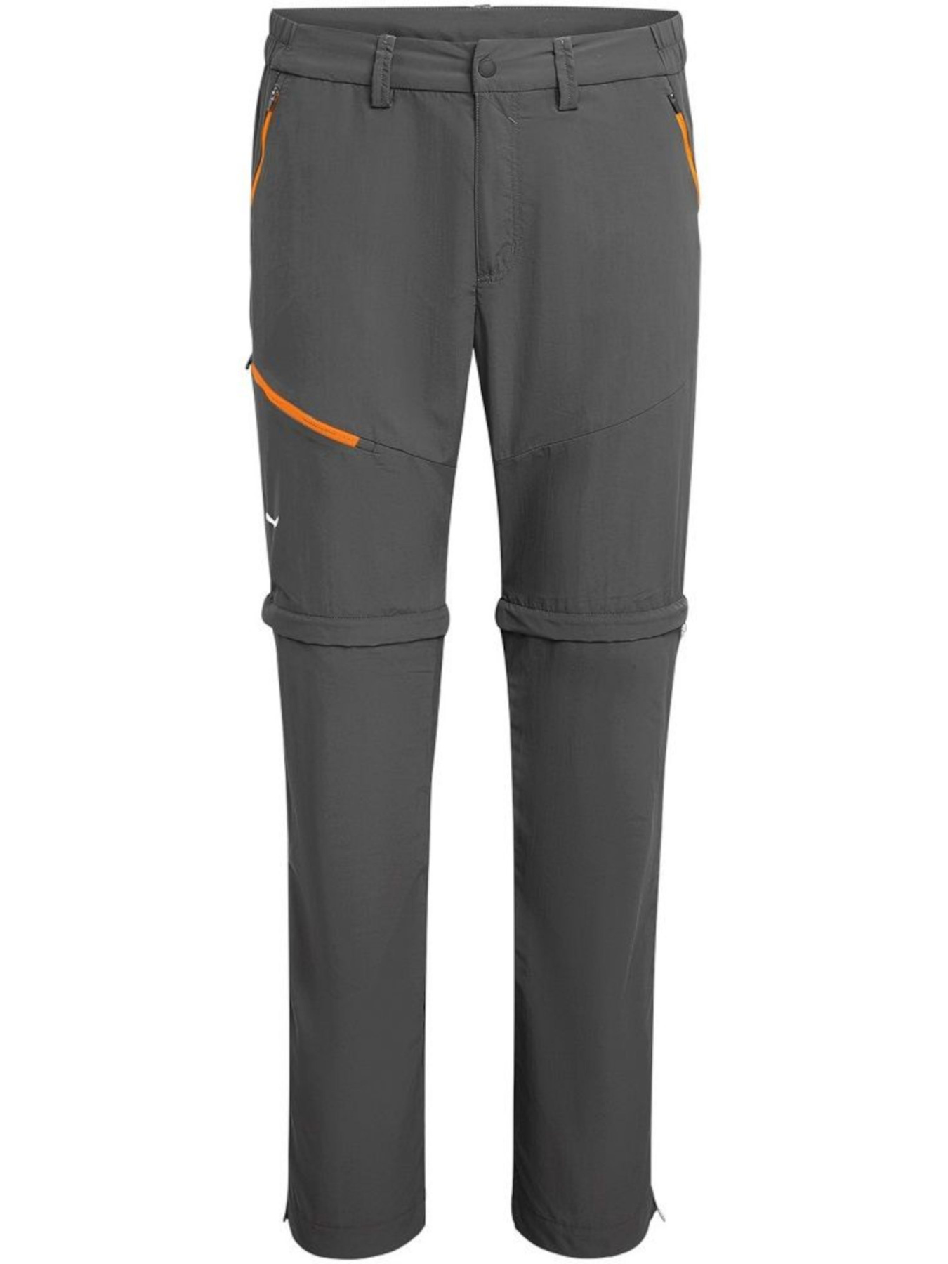 Штаны спортивные Salewa модель cdf525a6-1412-11ed-810e-001dd8b72568 Фото