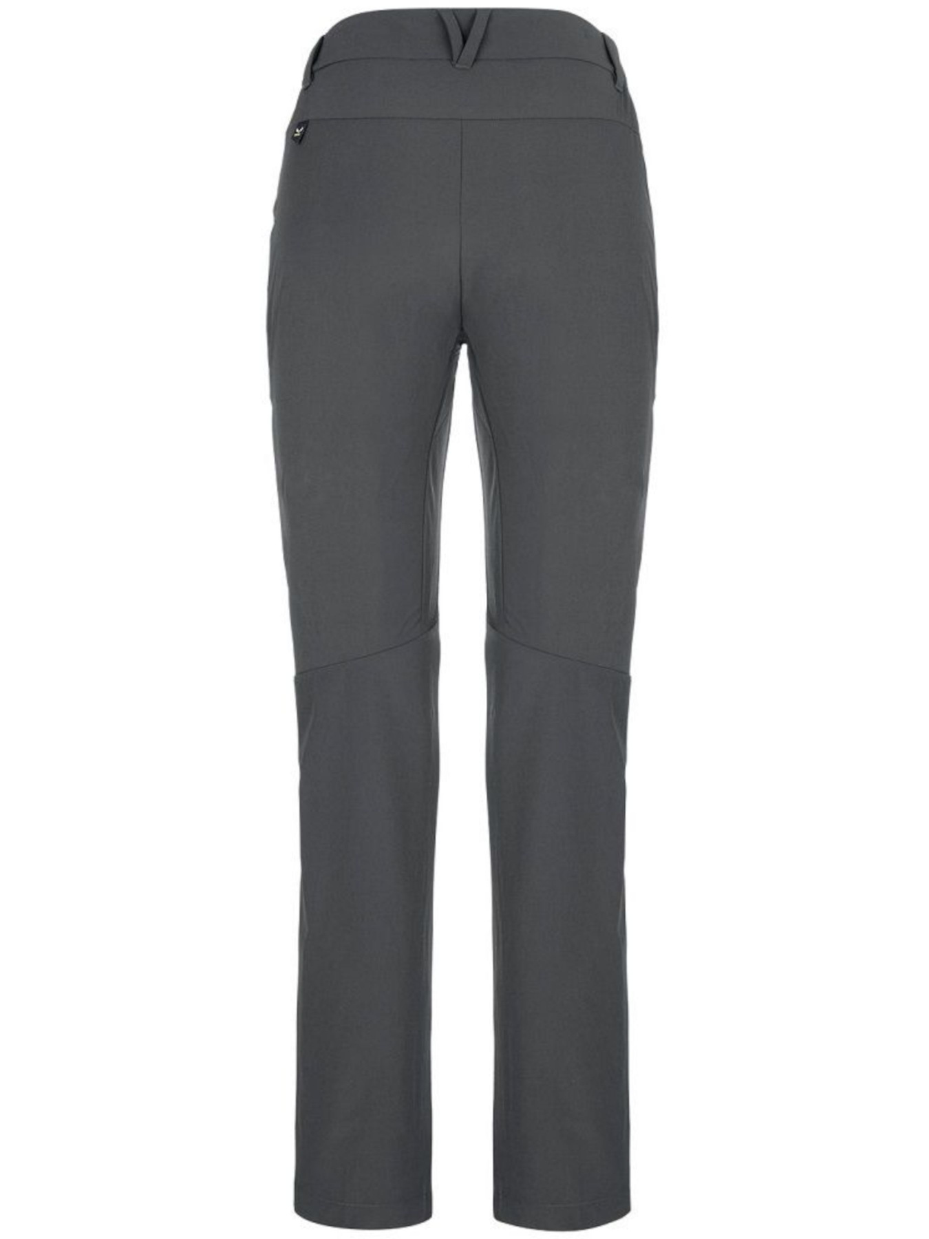 Штаны спортивные Salewa модель 8076dff6-1415-11ed-810e-001dd8b72568 Фото