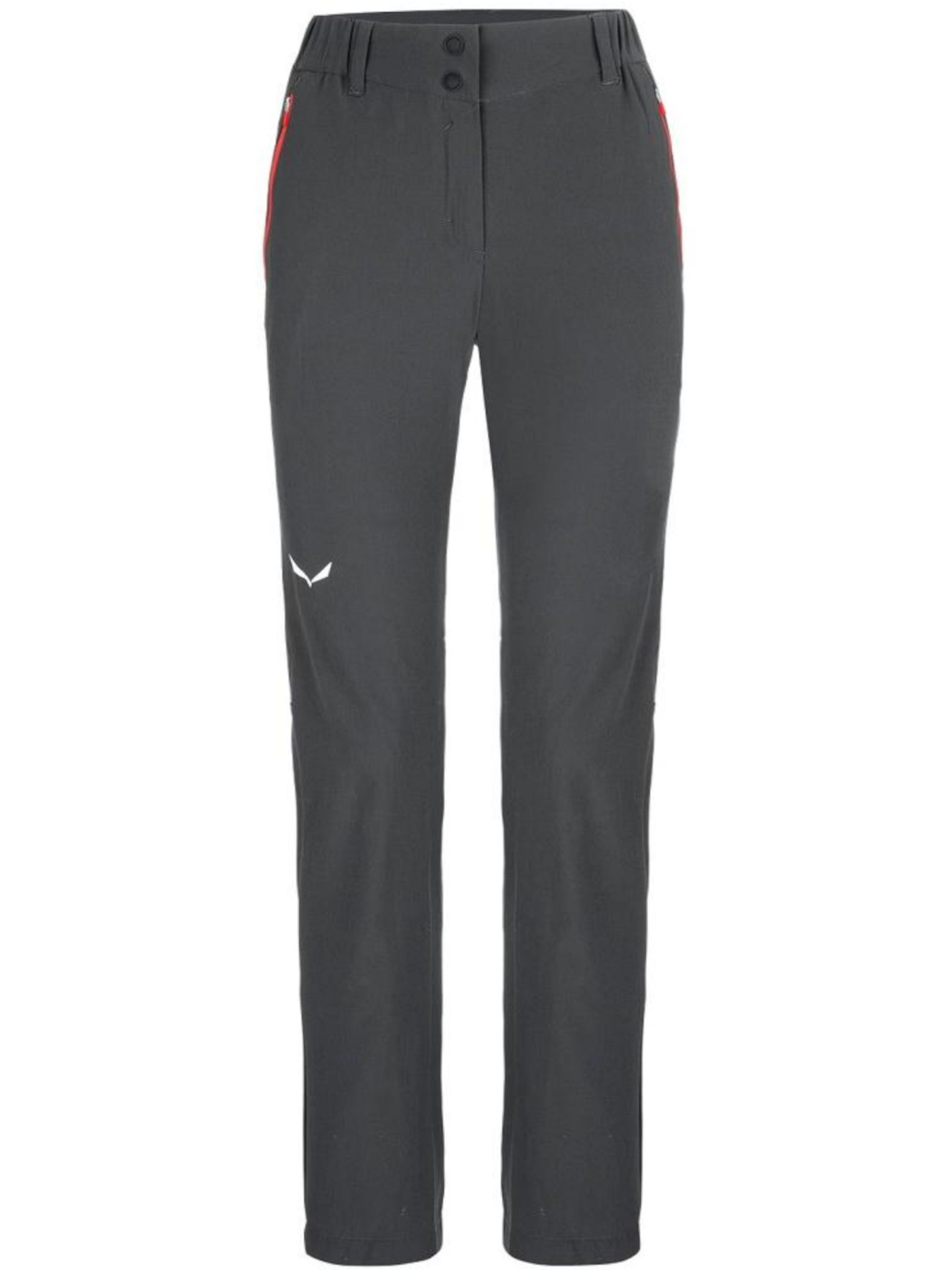 Штаны спортивные Salewa модель 8076dff6-1415-11ed-810e-001dd8b72568 Фото