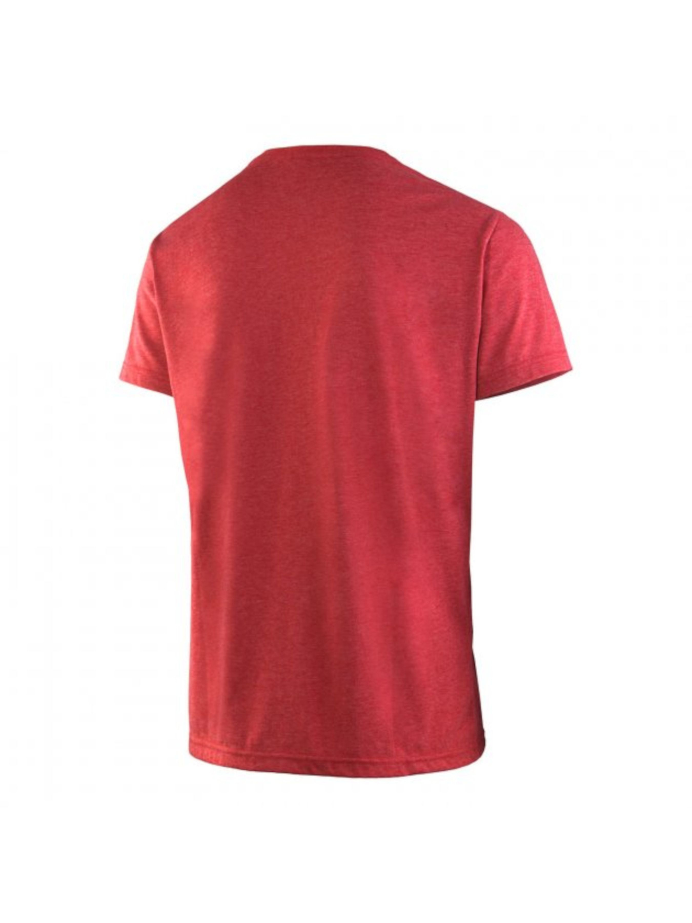 Футболки и поло Salewa модель 81d3419b-1417-11ed-810e-001dd8b72568 Фото