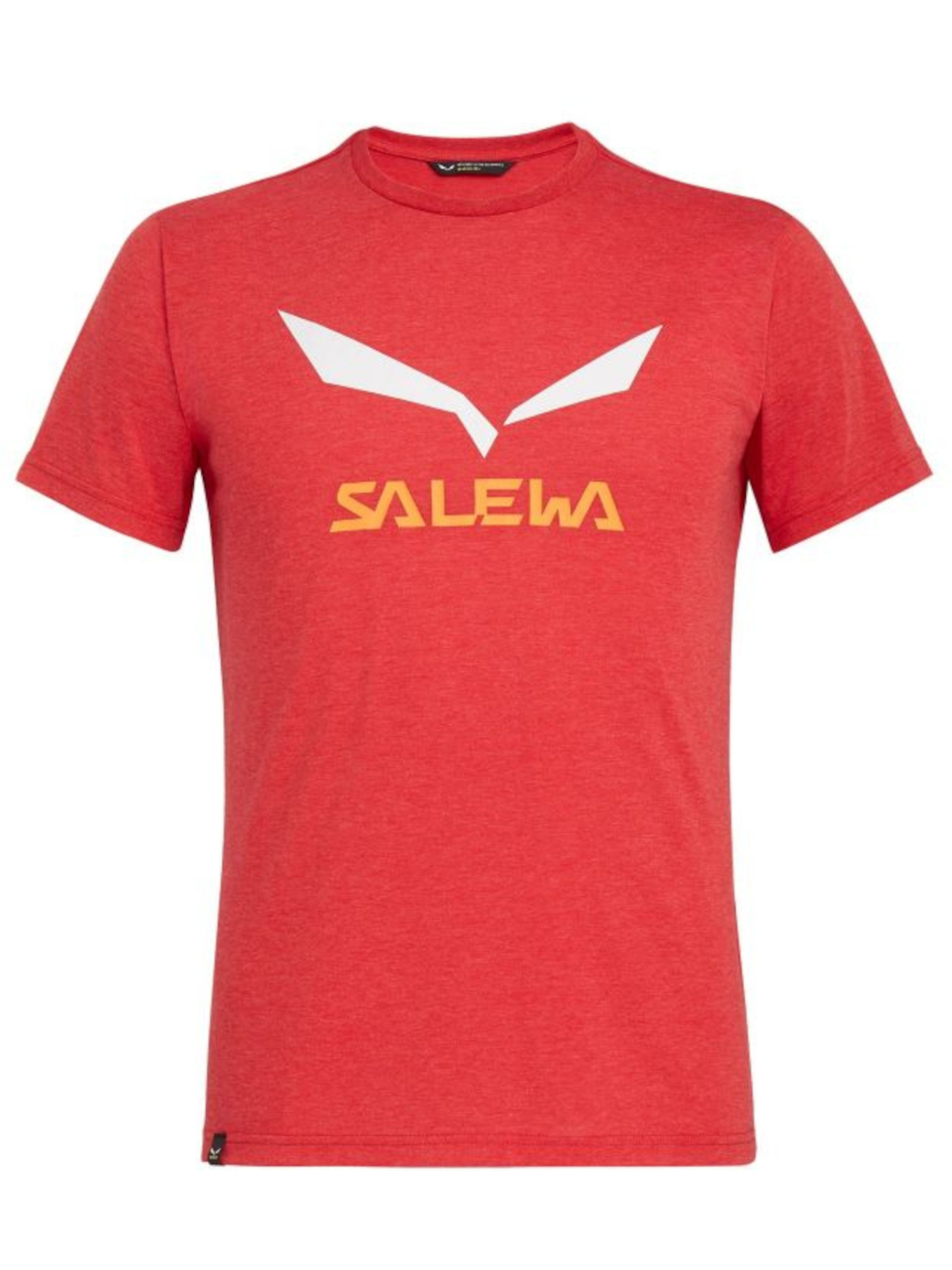 Футболки и поло Salewa модель 81d3419b-1417-11ed-810e-001dd8b72568 Фото