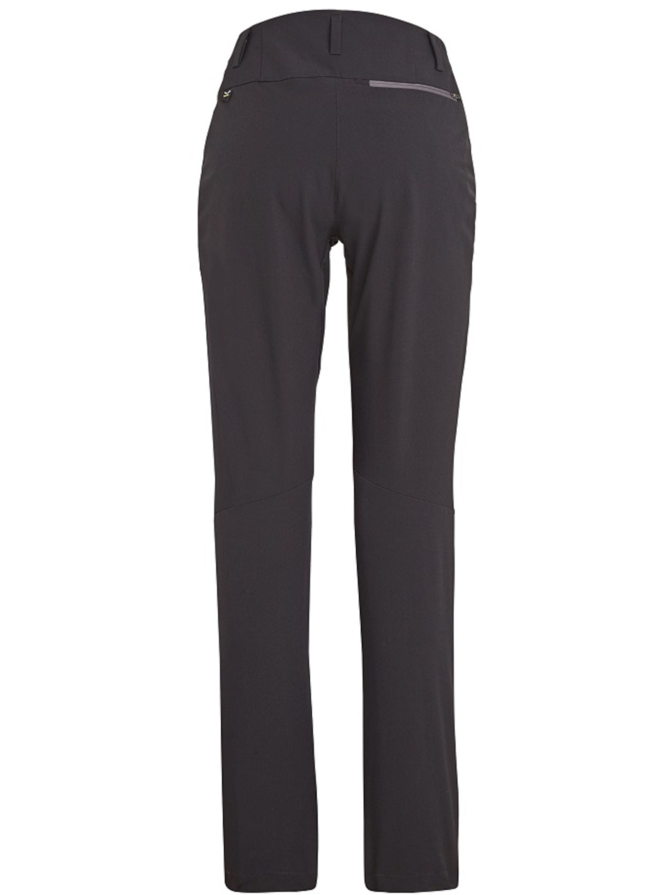 Штаны спортивные Salewa модель c58b89e4-1418-11ed-810e-001dd8b72568 Фото