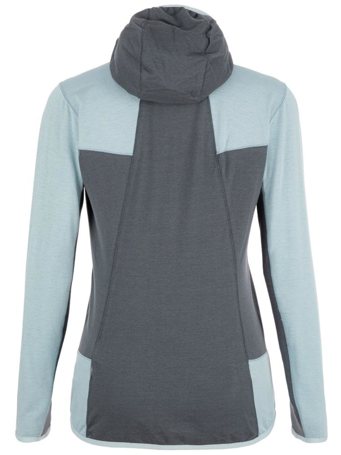 Кофта спортивная Salewa модель b9f7f6ac-141b-11ed-810e-001dd8b72568 Фото