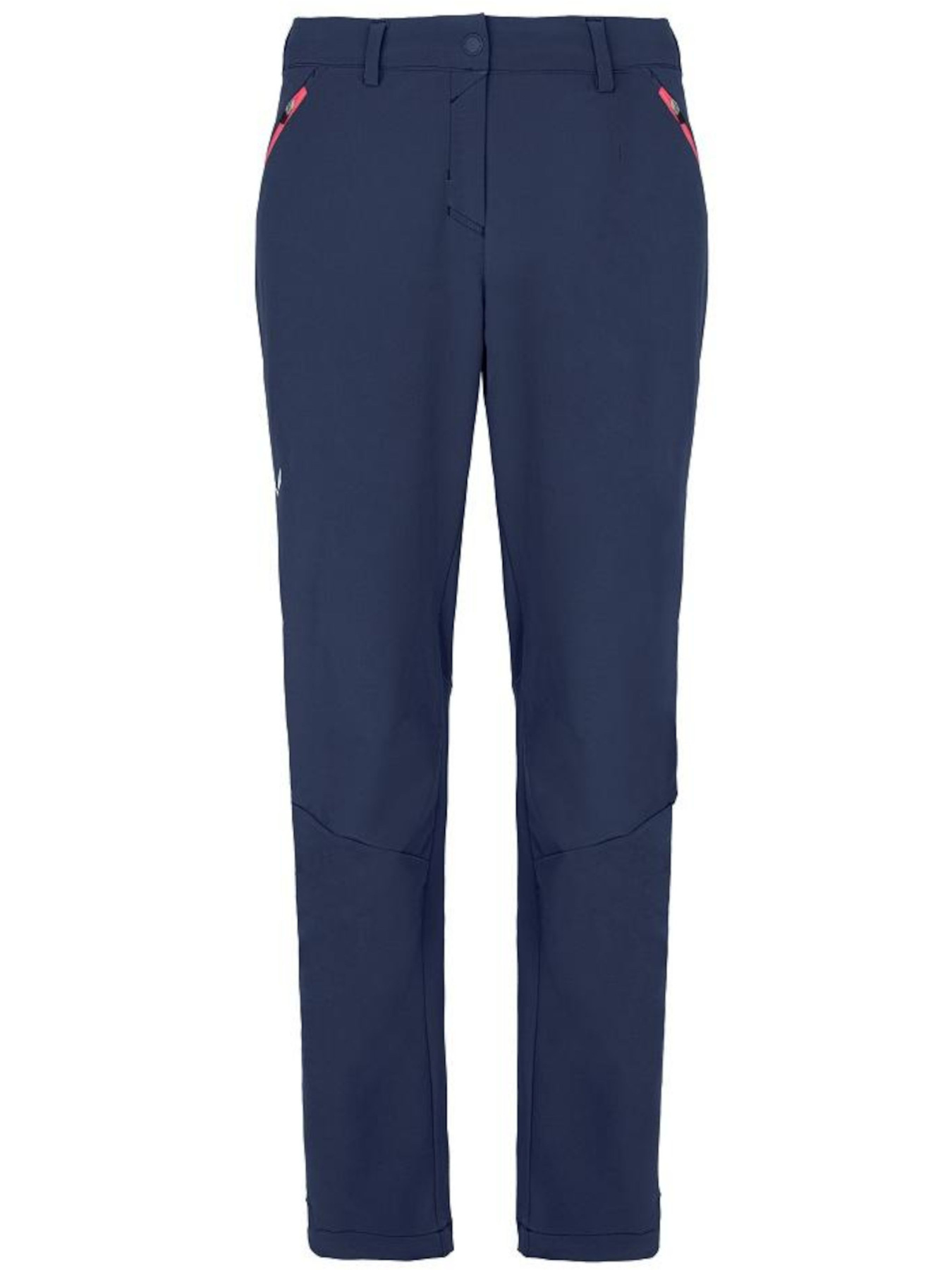 Лыжные штаны Salewa модель d5bd9b28-141b-11ed-810e-001dd8b72568 Фото