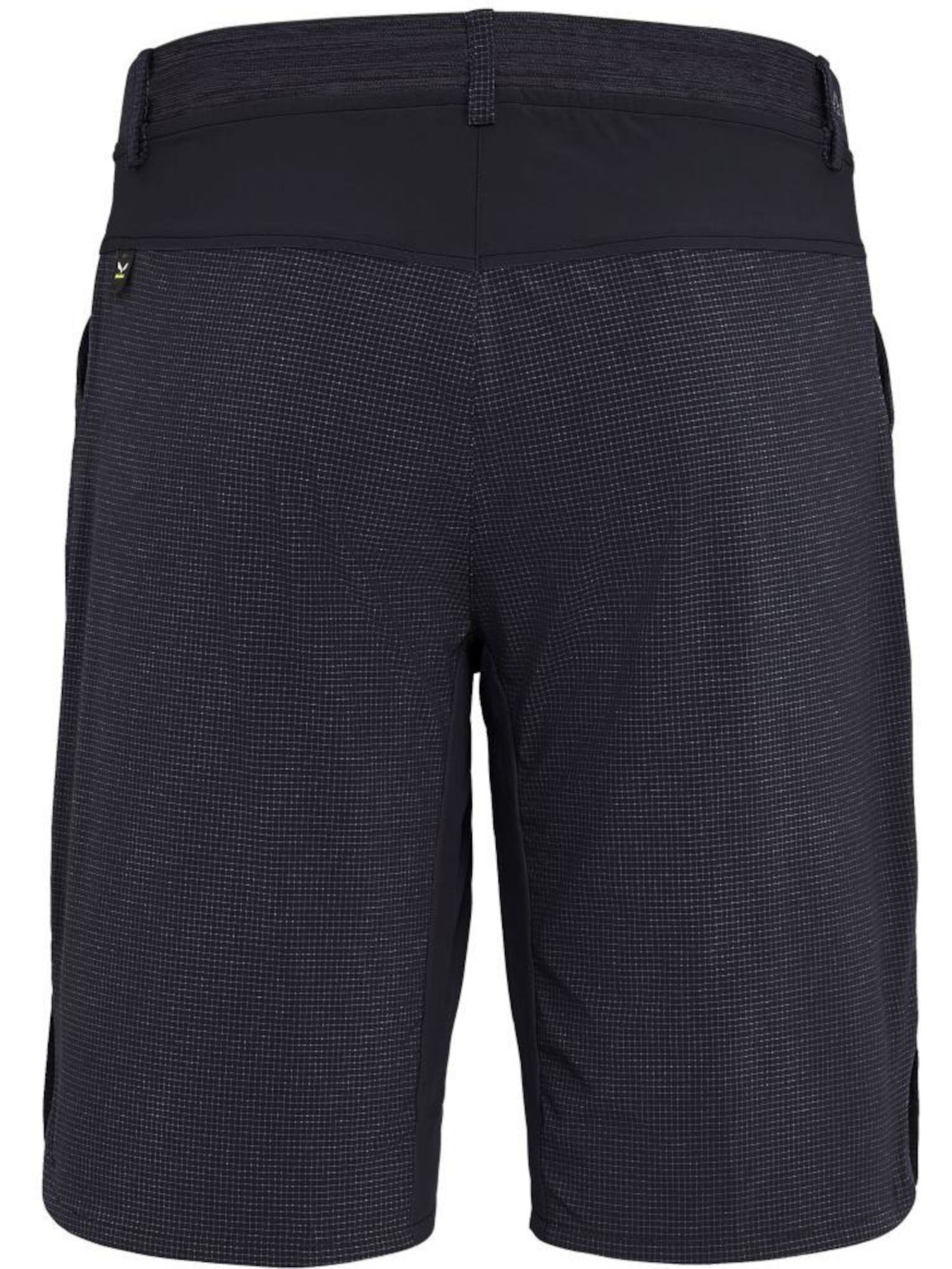 Шорты Salewa модель b57f6c8c-16e3-11ed-810e-001dd8b72568 Фото