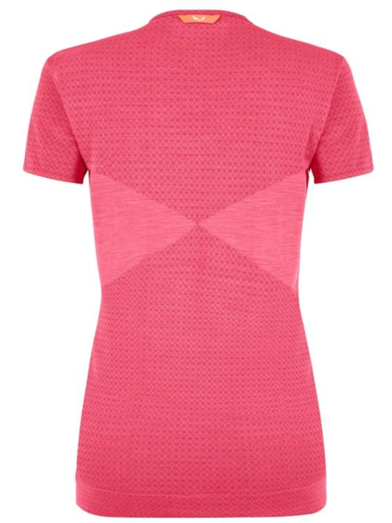 Футболки и поло Salewa модель 5e46ded9-16e4-11ed-810e-001dd8b72568 Фото