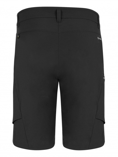 Шорты Salewa модель db0eed69-16e5-11ed-810e-001dd8b72568 — фото - INTERTOP