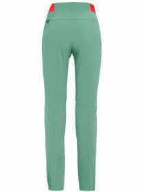 Штаны спортивные Salewa модель 6413dcb7-16eb-11ed-810e-001dd8b72568 Фото