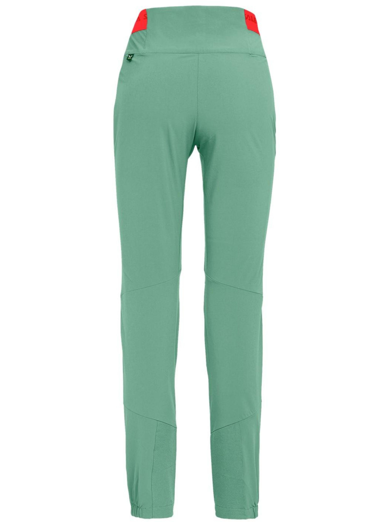 Штаны спортивные Salewa модель 6413dcb7-16eb-11ed-810e-001dd8b72568 Фото