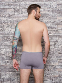 Трусы ISSA Plus модель GN5-102__grey Трусы ISSA Plus модель GN5-102__grey Фото