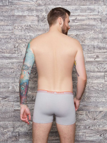 Трусы ISSA Plus модель GN5-103__lightgray Фото