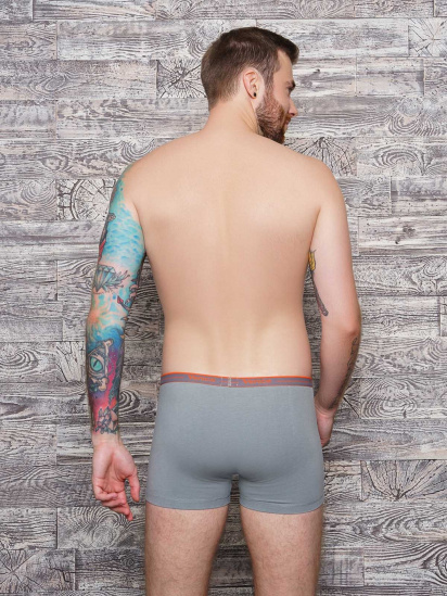 Труси ISSA Plus модель GN5-103__grey — фото - INTERTOP