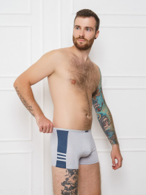 Трусы ISSA Plus модель GN5-106__grey Фото