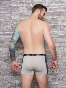 Трусы ISSA Plus модель GN5-107__beige Фото