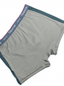 Труси ISSA Plus модель GN5-133__grey Фото