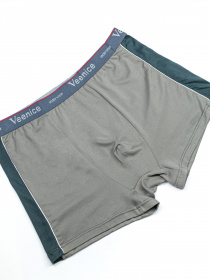 Труси ISSA Plus модель GN5-133__grey Фото