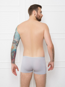 Трусы ISSA Plus модель GN5-134__lightgray Трусы ISSA Plus модель GN5-134__lightgray Фото