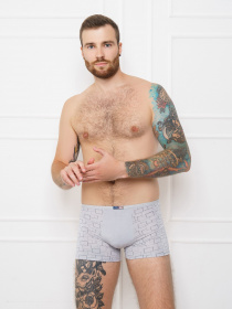 Трусы ISSA Plus модель GN5-134__lightgray Трусы ISSA Plus модель GN5-134__lightgray Фото