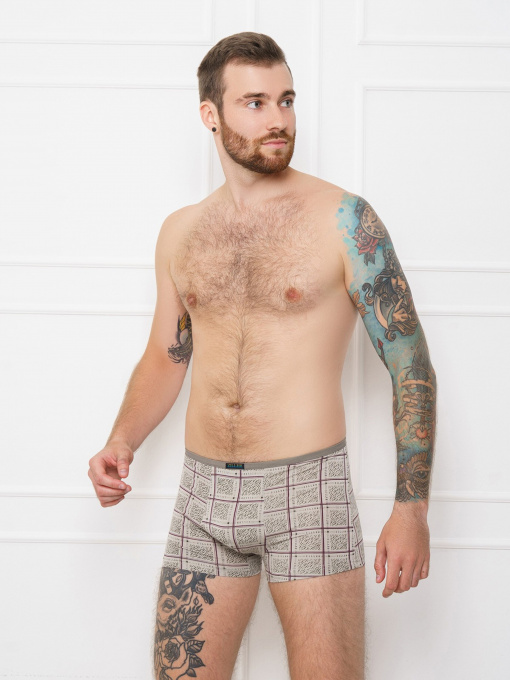 Трусы ISSA Plus модель GN5-138__grey Фото