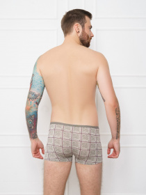 Трусы ISSA Plus модель GN5-138__grey Фото